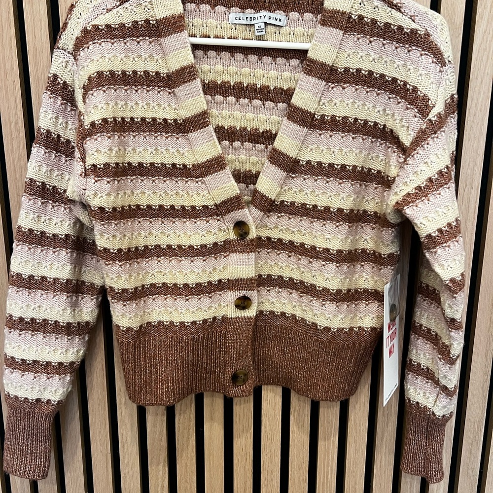Celebrity Pink Brown and Cream Striped Sweater